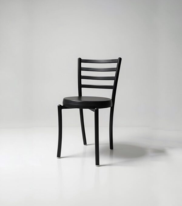 Rishvia Chair Pack of (1, Black)
