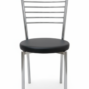 Food RISHVIA Office Visitor Student Study Chair Home Resturant Dining Multipurpose with a Steel