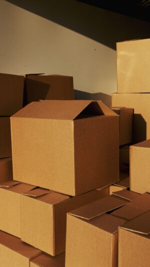 pexels-artempodrez-5025503 Rishield 3 Ply Brown Flap Corrugated Boxes for Packaging